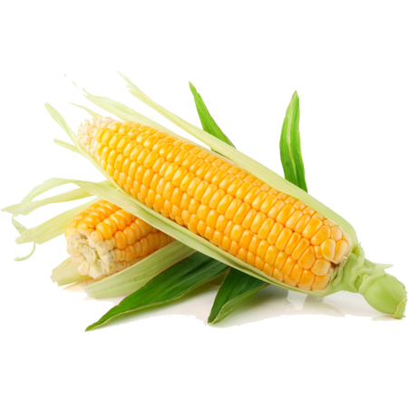 Harit%20Seeds